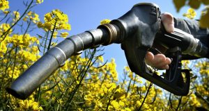 I biocarburanti spingono in su il costo del cibo