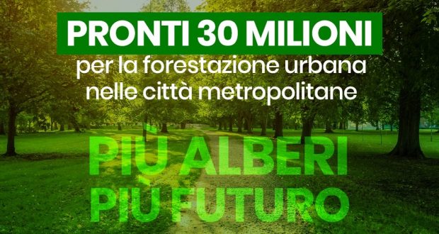 Più alberi per il futuro: 30 milioni per la forestazione urbana